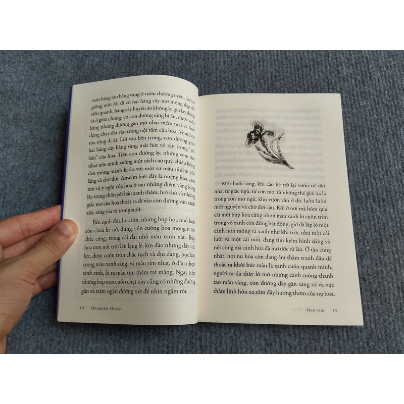 HUỆ TÍM - HERMANN HESSE 552739