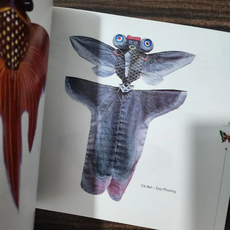 Diều Trung quốc | tôn bỉnh sơn | in màu 737701