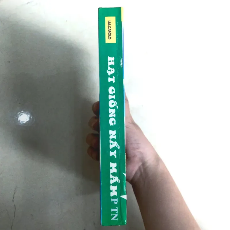 Hạt Giống Nẩy Mầm 🐰 606160