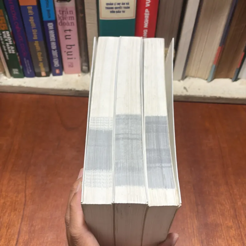 II Làng Lăng Tiếu Tiếu Sinh: Kim Bình Mai (3 Tập) - Nguyễn Quốc Hùng (Dịch) - 2016 789390