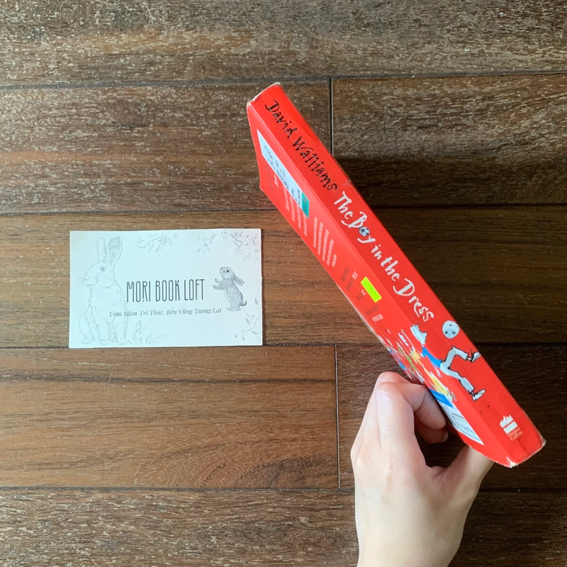 Sách ngoại văn The Boy in the Dress – David Walliams, Used, cluong bìa xấu, trình độ B1 498780