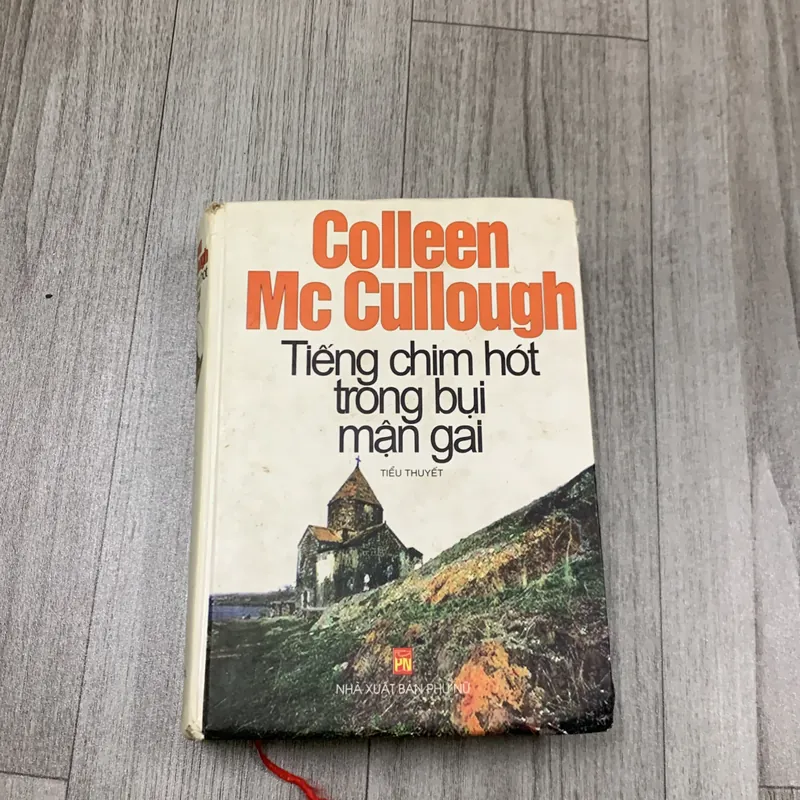 Tiếng chim hót trong bụi mận gai. 2b1 717845