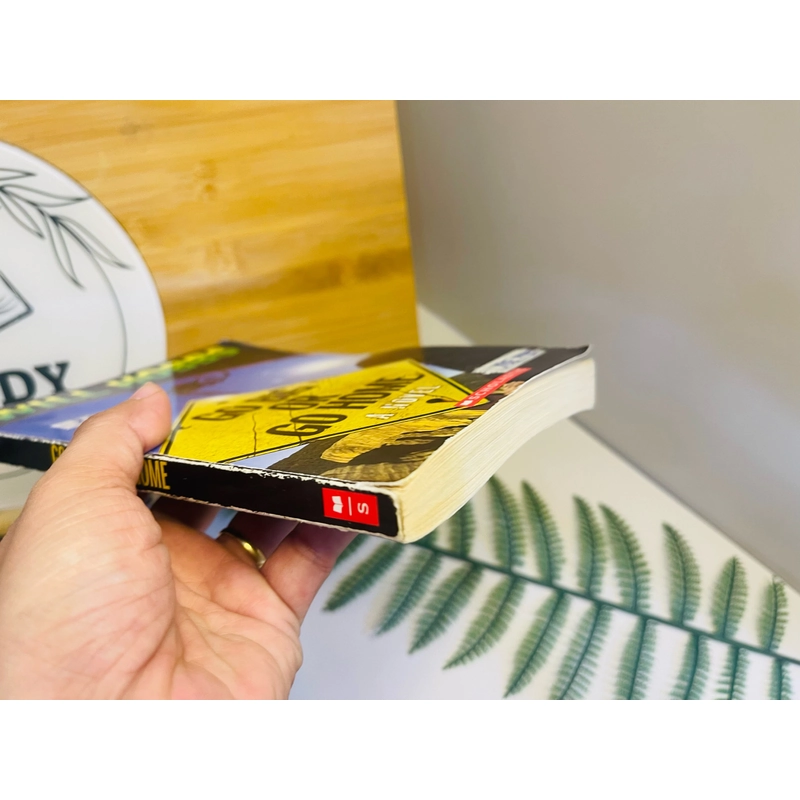 [Sách tiếng Anh 2hand] Like new 90% - Go Big Or Go Home - Will Hobbs 499493