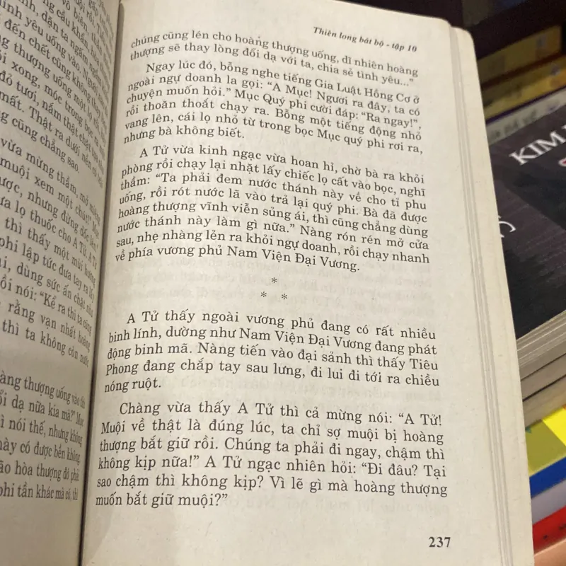 THIÊN LONG BÁT BỘ, TẬP 10 (XB 2005) 1005059