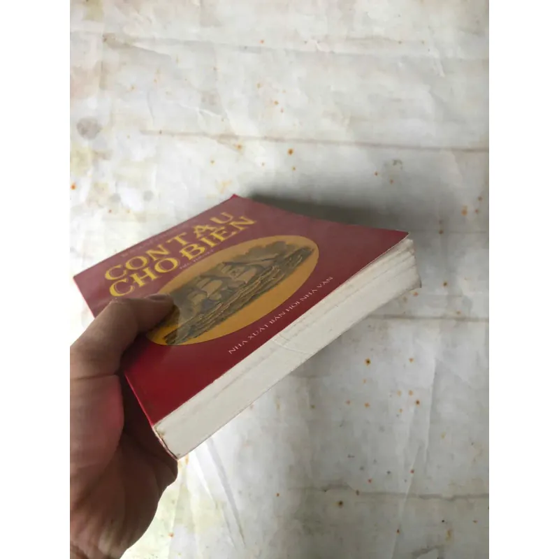 Con Tàu Chó Biển - Fortune Chalumeau 749513