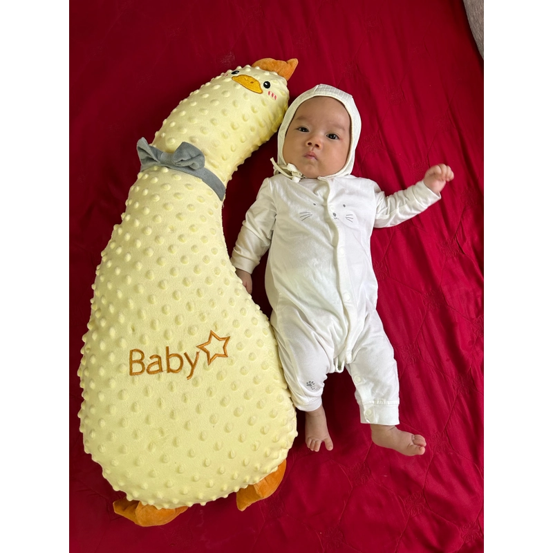 Gấu ôm cho Bé 446665