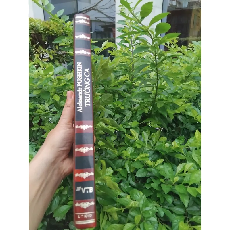 Trường ca Aleksandr Pushkin 1000698