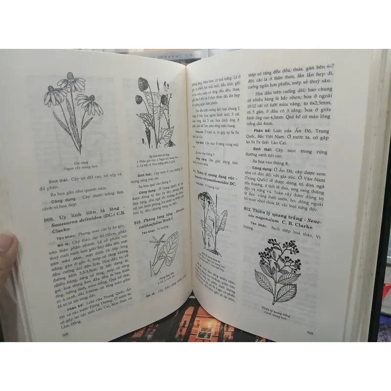 CÂY CỎ CÓ ÍCH Ở VIỆT NAM (TRỌN BỘ) - Võ Văn Chi 528968