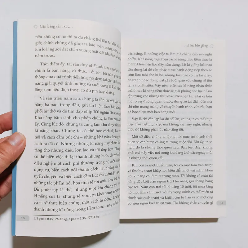 Cân Bằng Cảm Xúc Cả Lúc Bão Giông 993393