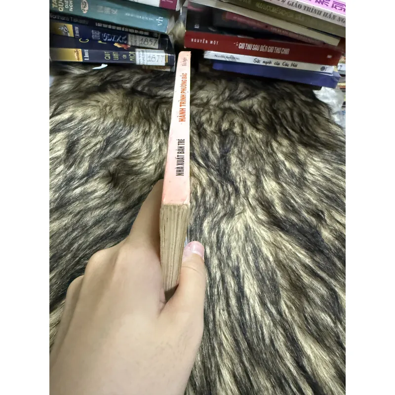 Du lịch ba miền hành trình phương Bắc  600699