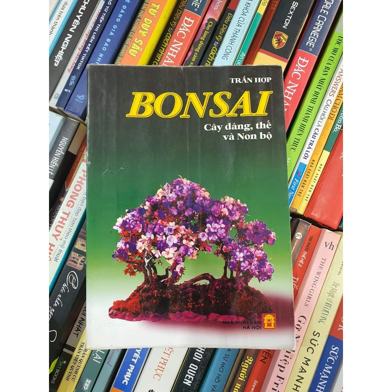 Bonsai
Cây dáng, thế và non bộ
 316463