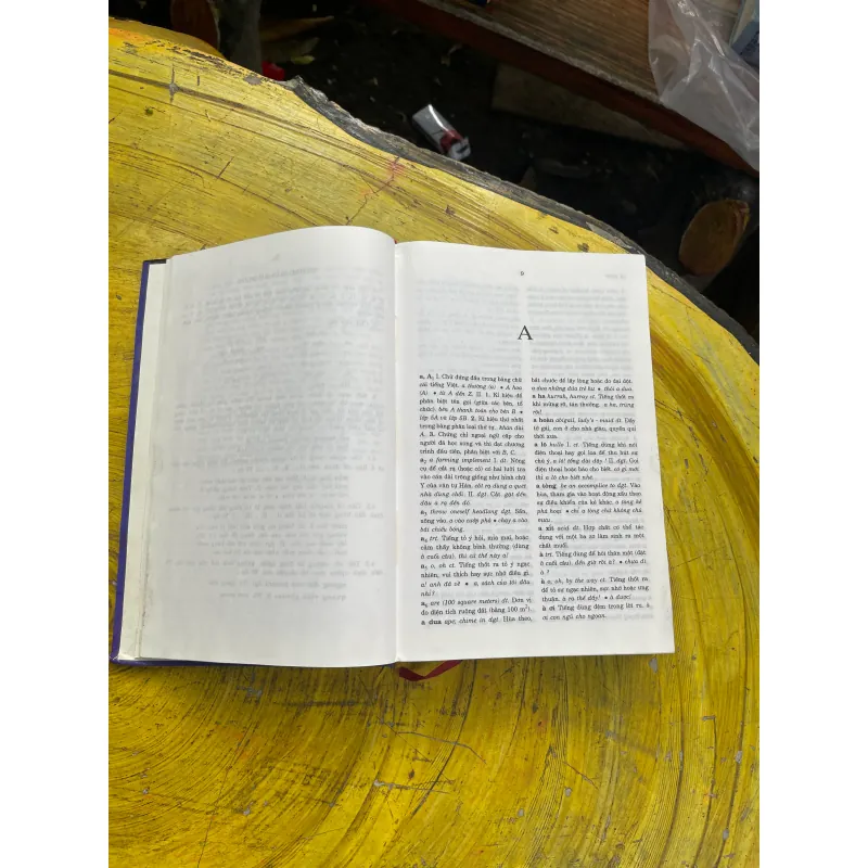 TỪ ĐIỂN TIẾNG VIỆT THÔNG DỤNG- NGUYỄN NHƯ Ý CHỦ BIÊN 730987