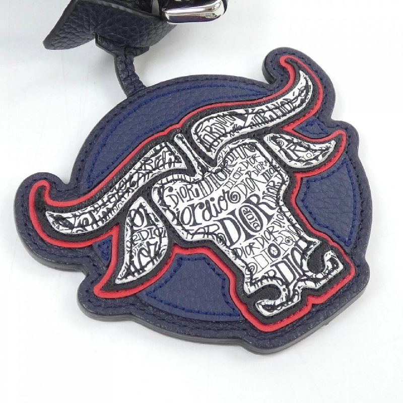 Túi DIOR SHAWN STUSSY 2FSBC119GDS - Hàng hiệu Authentic 901605