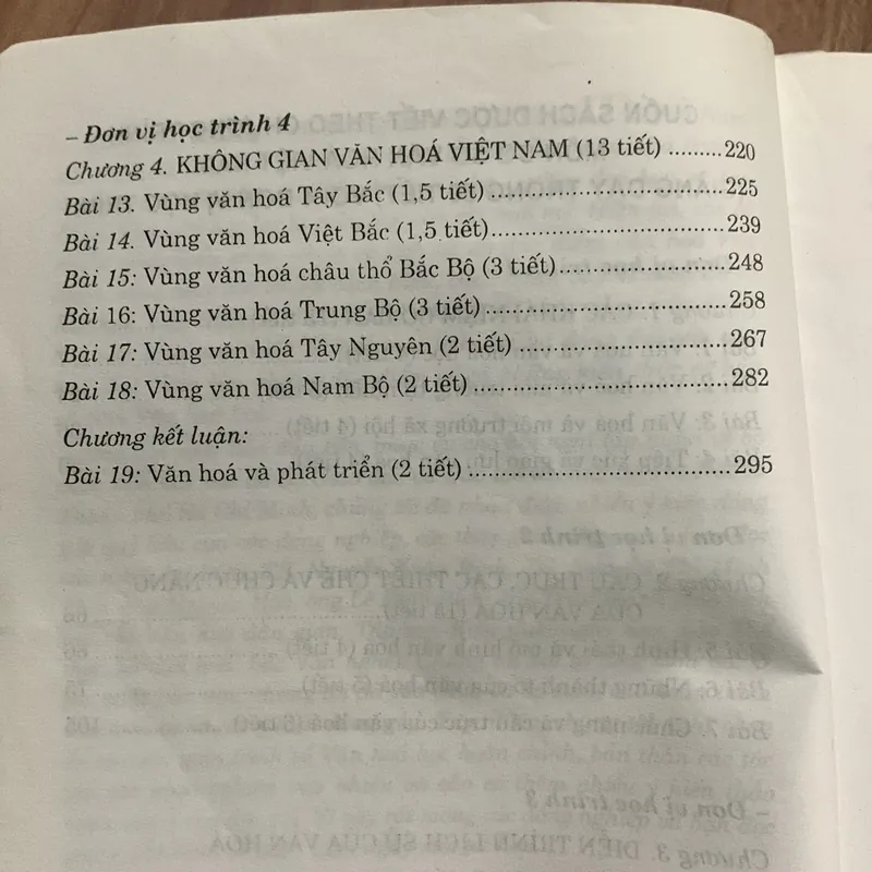 Cơ sở văn hoá Việt Nam, Trần Quốc Vượng chủ biên 703763