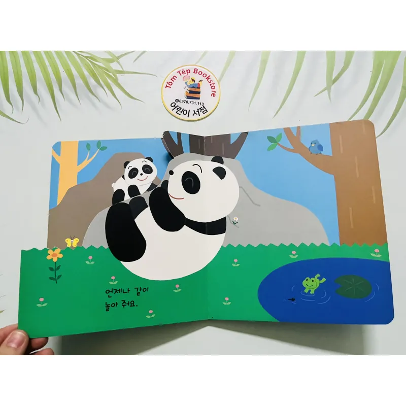 Set boardbook B19 tiếng Hàn ít chữ 784651