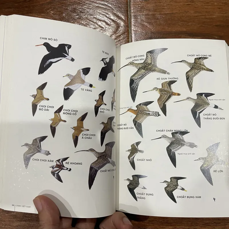 Chim Việt Nam - Cuốn sách hướng dẫn về các loài chim Việt Nam  (8) 716507