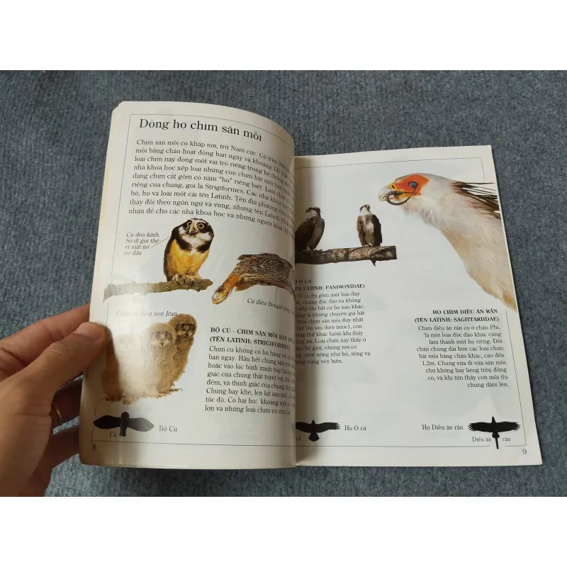 ĐẠI BÀNG - TỦ SÁCH KIẾN THỨC THẾ HỆ MỚI 720727