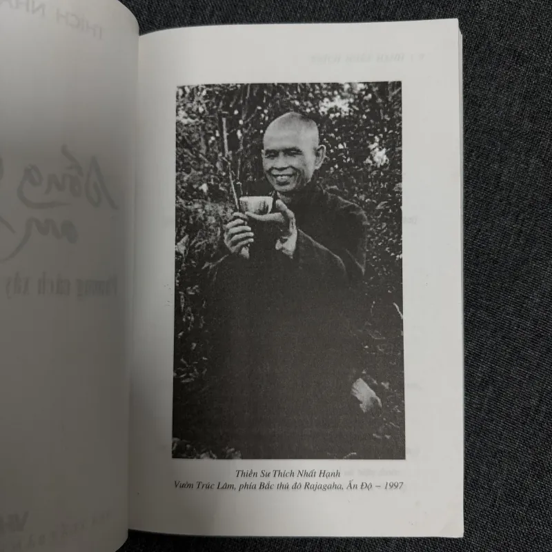 Sống chung an lạc - Thích Nhất Hạnh 925882