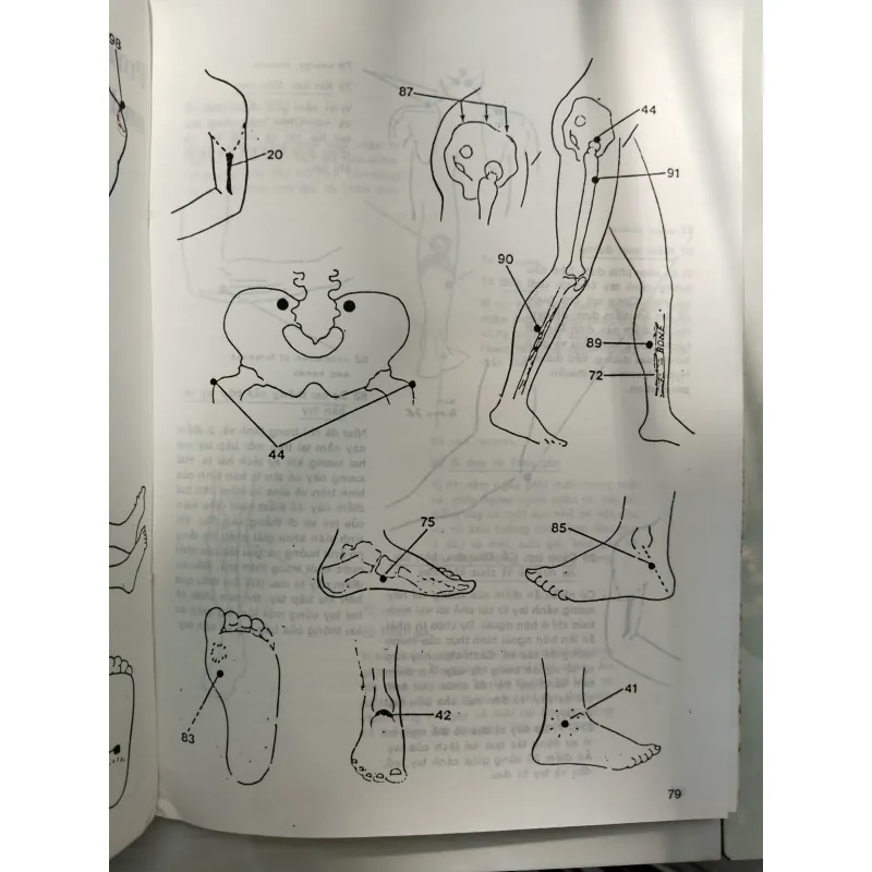 BẤM HUYỆT CÁCH CHỮA VÀ SỰ ÍCH LỢI - FM. HOUSTON, DC 996086