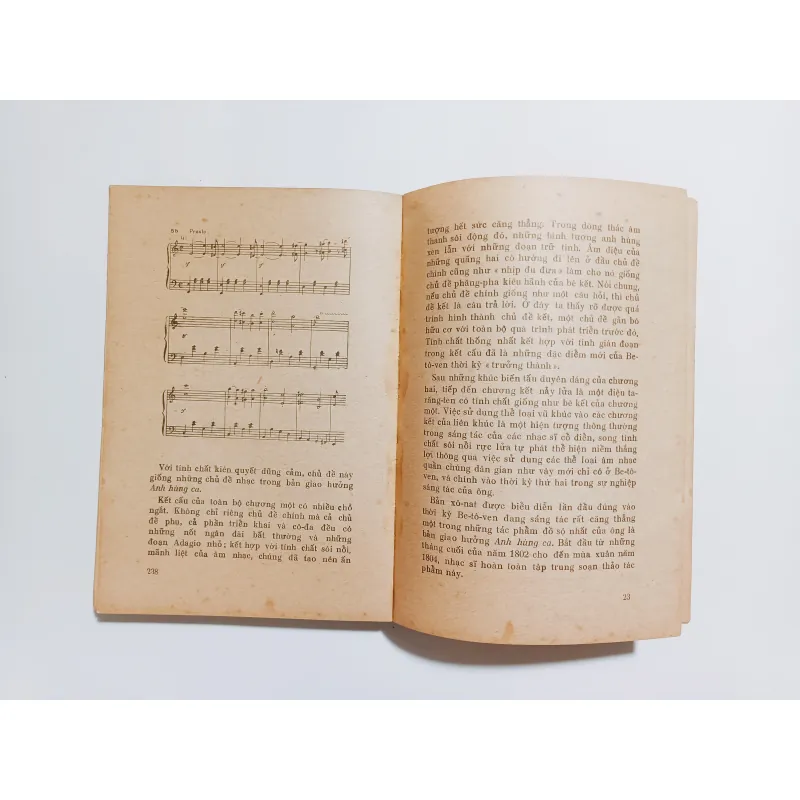 Lut - Vich Van Be - Tô - Ven ( Ludwig van Beethoven ) 752078