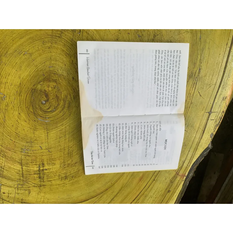 COMBO GIÓ LÙA TRONG LIỄU- 2 VẠN DẶM DƯỚI BIỂN- TÚP LỀU CỦA BÁC TÔM 746645