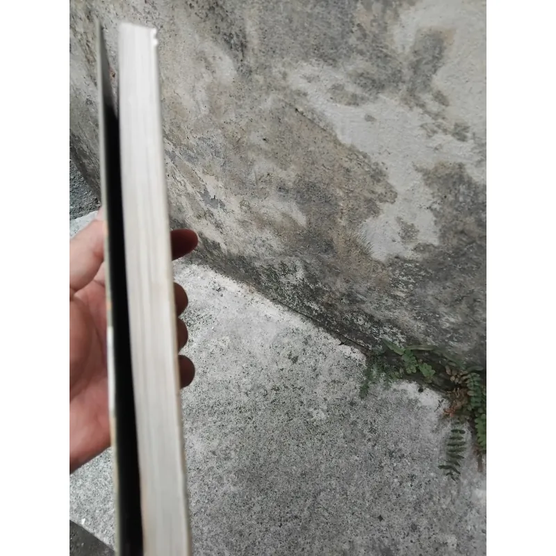 Hồi kí Thương Tín một đời giông bão  1028247