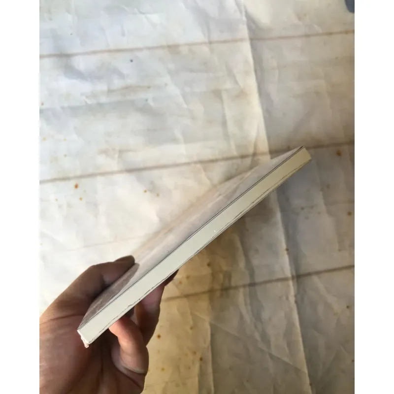 Gã Du Đãng Chúng Ta Đang Lùng Kiếm - Le Thi Diem Thuy 745417