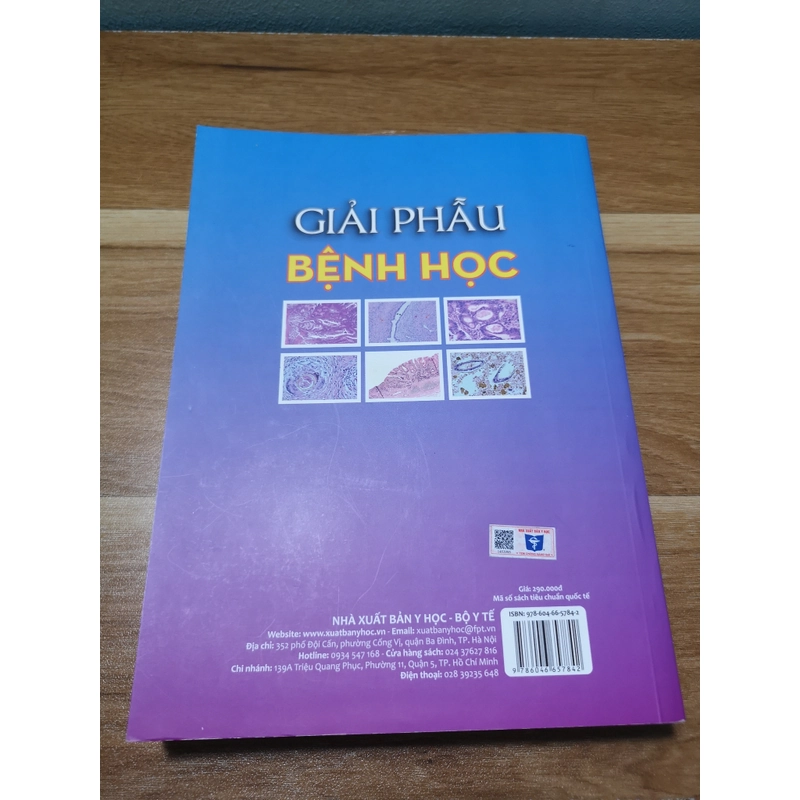 Giải phẫu Bệnh Học 519431