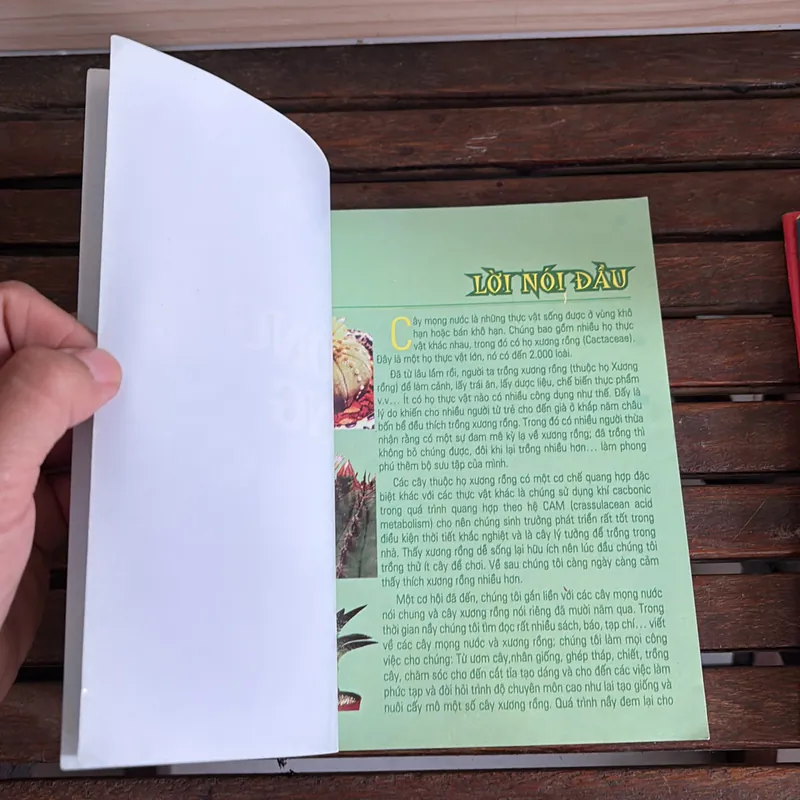 II Cây Cảnh: Xương Rồng Và Cây Mọng Nước (Sách Màu) - Dương Ngọc Hiệp 718583