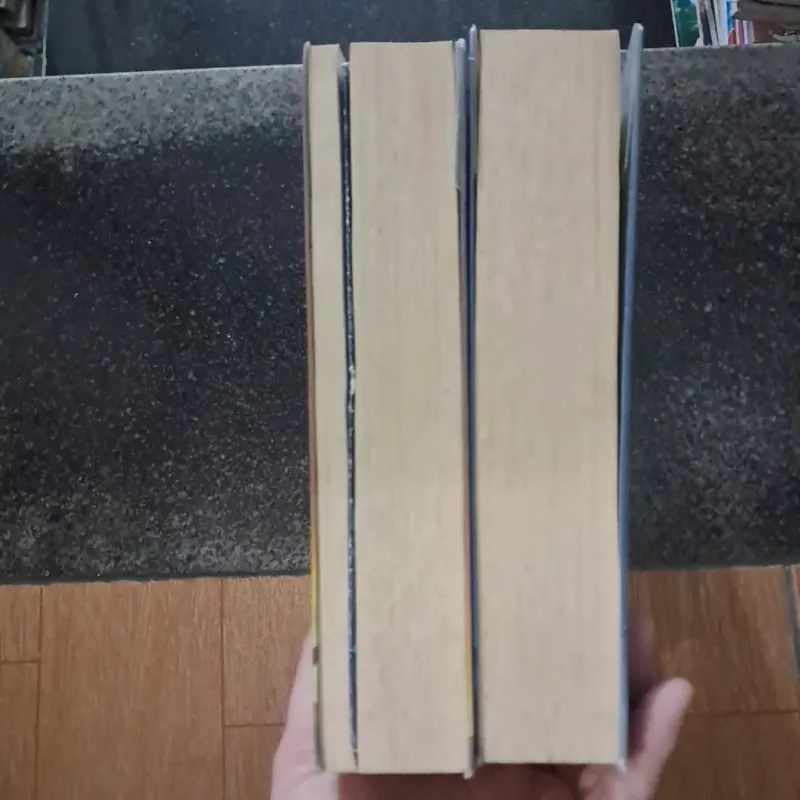 Mèo hoang-Đinh Mặc 1021265