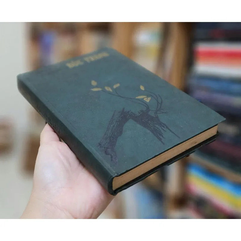 Truyện ngắn của Daniil Granin: BỨC TRANH 705515