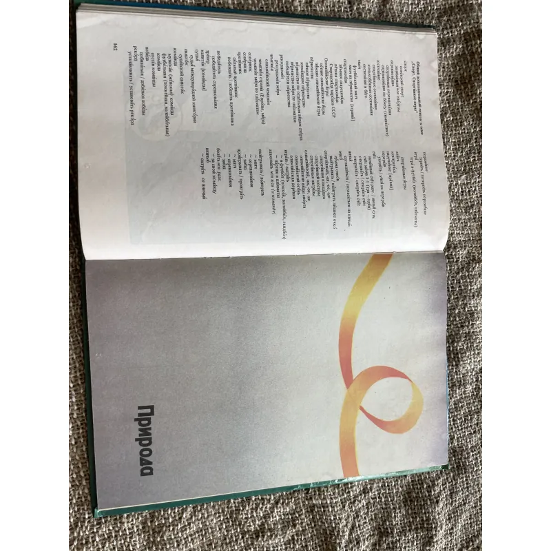 Иллюстрированный темотиЧеСкий-  словарь русского ЯЗЫКО- từ điển minh họa tiếng Nga  1003978