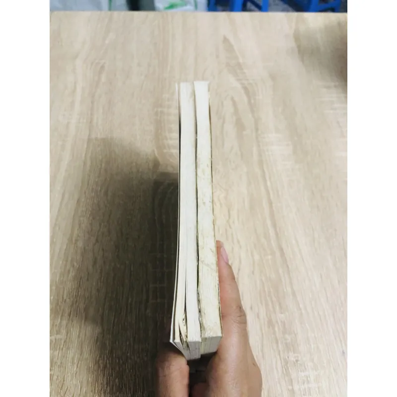 2 TẬP THẬP ĐẠI ĐỆ TỬ PHẬT THÍCH CA 957223