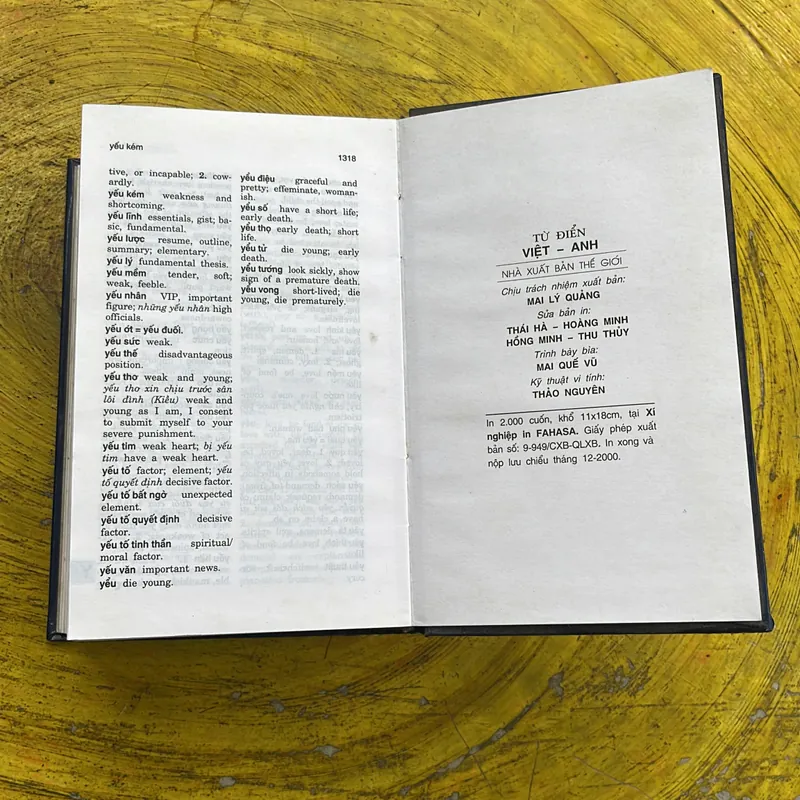 TỪ ĐIỂN VIỆT - ANH - BÙI PHỤNG 689628