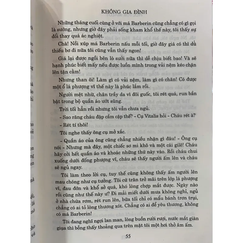 KHÔNG GIA ĐÌNH - HECTOR MALOT (HUỲNH LÝ DỊCH)  1006798