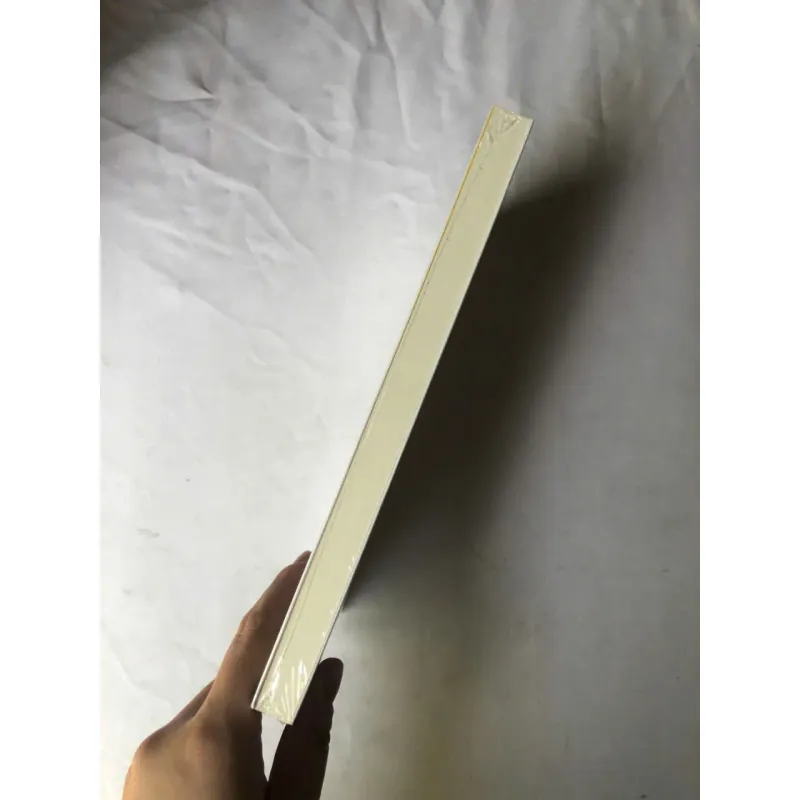 Nghề Giúp Việc - Stephanie Land 1002108