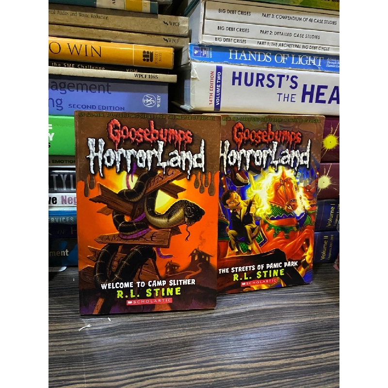 Goosebumps - R. L. Stine 740818