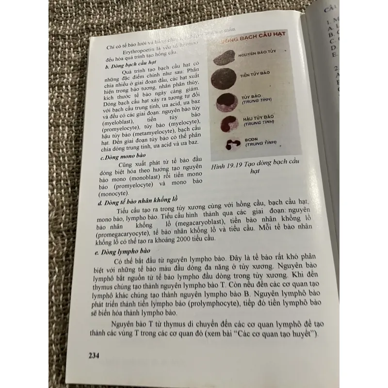 Mô học - PGS.TS.BS. PHAN CHIẾN THẮNG ; PGS.TS.BS. TRẦN CÔNG TOẠI; 240 trang khổ lớn  1021338