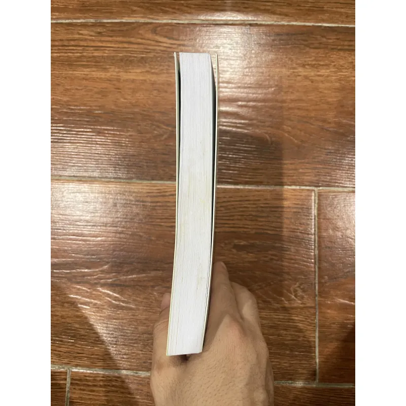 Alex - Pierre Lemaitre (7) 994013