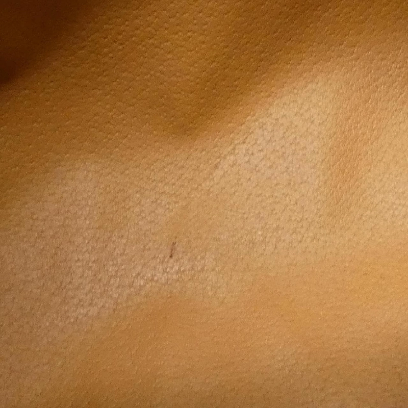 Celine Bag - Hàng hiệu Authentic 765535