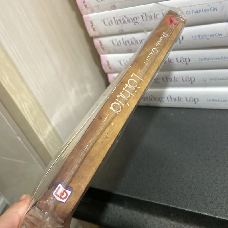 (Tiểu thuyết) - Lời Hứa - Damon Galgut 990969