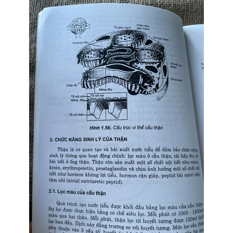 Bệnh thận - PGS.BS. Trần Văn Chất 792212