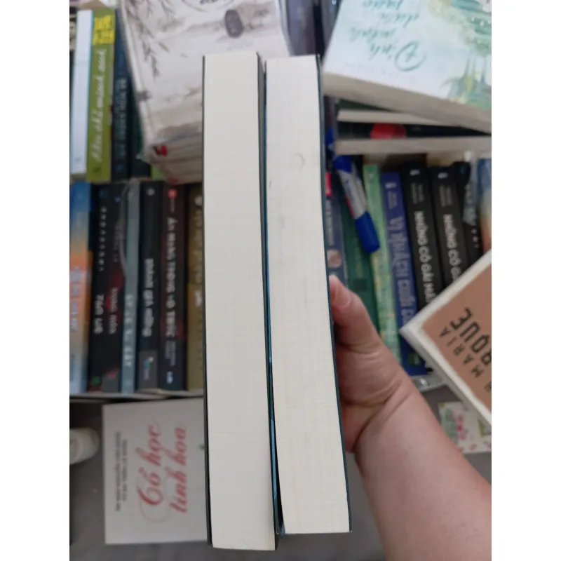 Chúa đá Zaggla (2 tập) 991416