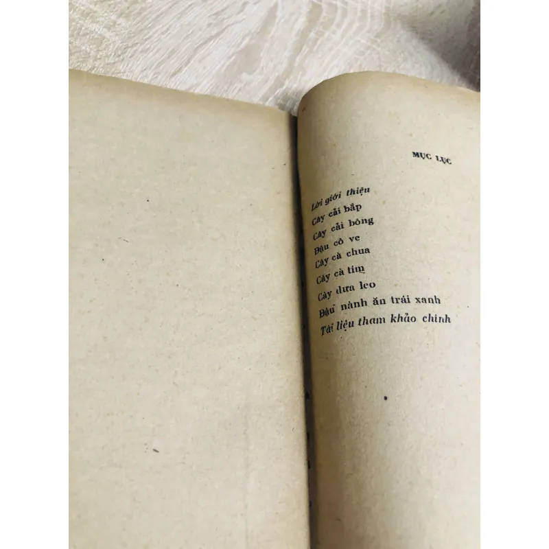 KỸ THUẬT TRỒNG MỘT SỐ RAU ĐẬU XUẤT KHẨU  956858