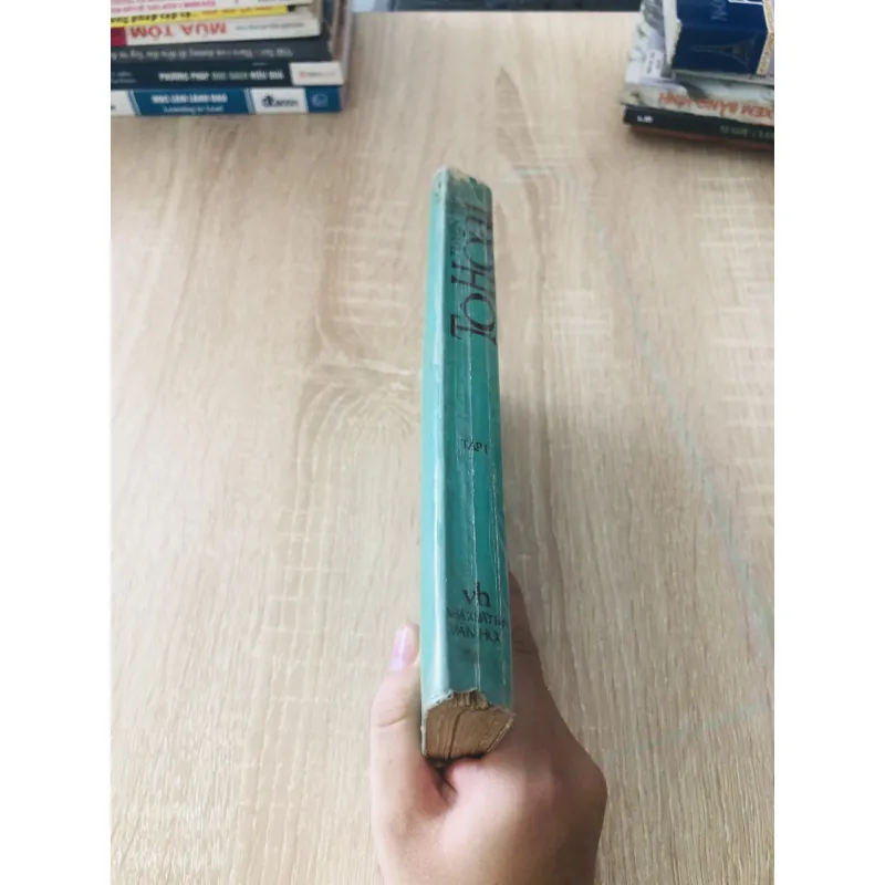 TUYỂN TẬP TÔ HOÀI  1027806