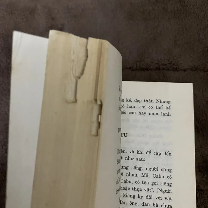 Trầu cau việt điện thư 674049