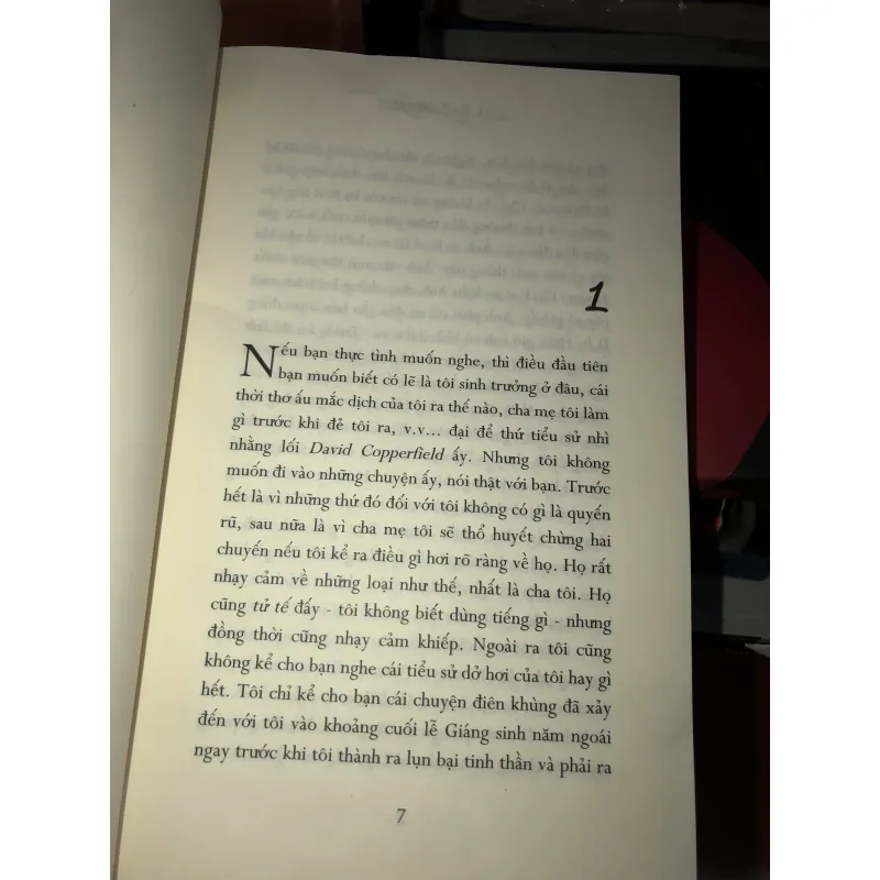 Bắt trẻ đồng xanh - J.D. Salinger 993684