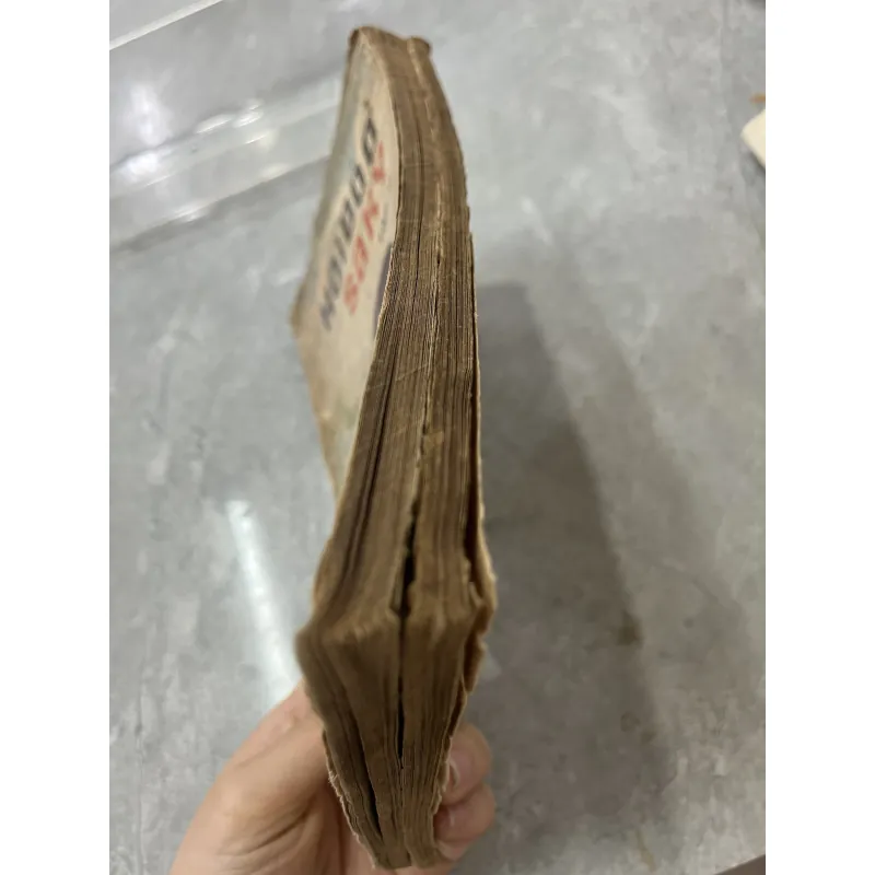 HỒI ĐÓ Ở SA KỲ - BÙI MINH QUỐC 927754