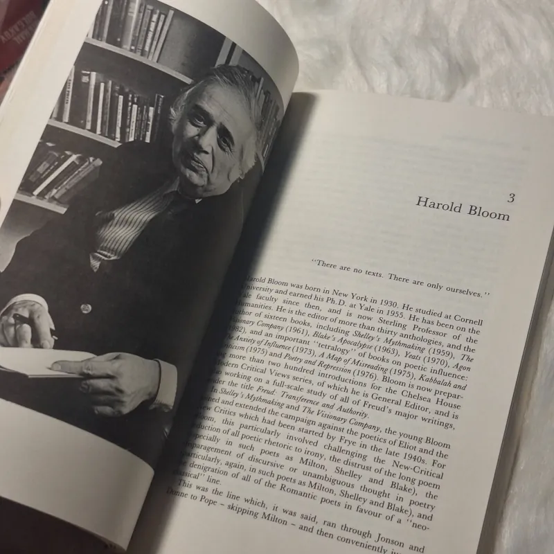 Imre Salusinszky - Criticism in Society 782817