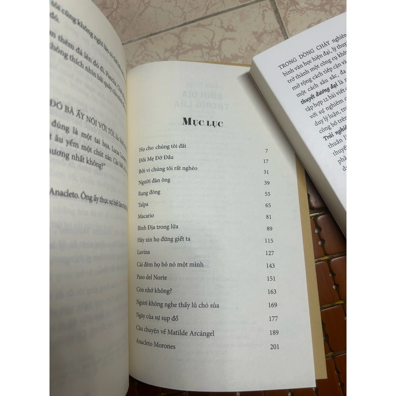 Bình địa trong lửa - Juan Rulfo (Hà Cheem dịch) 447102